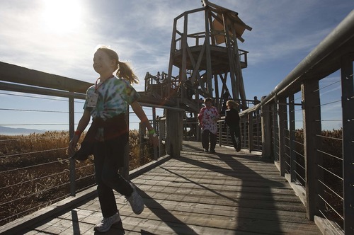 Leah Hogsten  |  The Salt Lake Tribune
Bluff Ridge Elementary second-graders visit the observation tower on the 1-mile loop tour of the The Nature Conservancy's Great Salt Lake Shorelands Preserve, Wednesday, October 31, 2012. The Nature Conservancy and USU Botanical Center are announcing a new partnership to expand the Wings & Water Wetlands Education Program -- an award-winning initiative designed to bring elementary students on guided field trips to The Nature Conservancy's Great Salt Lake Shorelands Preserve and the USUBC's Wetland Discovery Point.