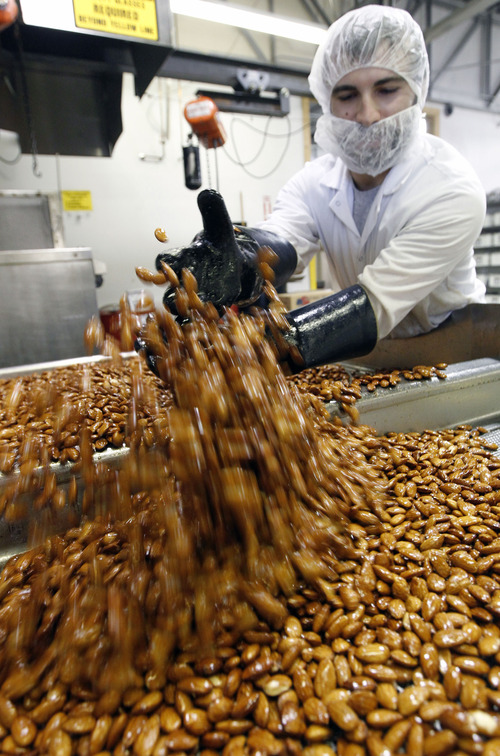 Al Hartmann  |  The Salt Lake Tribune
Roaster Shaun Easley mixes in salt and corn syrup into a 150-pound batch of almonds at Western Nut Factory. Western Nut, a long-time Utah company, is preparing for the busy holiday rush.