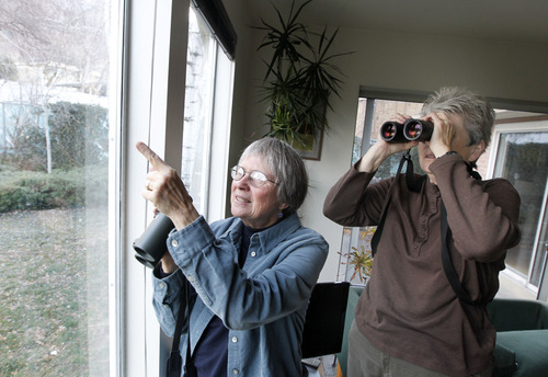 Al Hartmann  |  The Salt Lake Tribune
Deedee O'Brien, left, and Pomera Fronce watch winter birds from the comfort of O'Brien's living room that looks out on the back yard with its bird feeders.  Fronce is trying to expand the Salt Lake City count by encouraging people to participate from their homes for the annual Audubon Christmas Bird Count which starts Dec. 14.