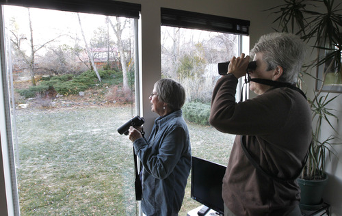 AAl Hartmann  |  The Salt Lake Tribune
Deedee O'Brien, left, and Pomera Fronce watch winter birds from the comfort of O'Brien's living room that looks out on the back yard with its bird feeders.  Fronce is trying to expand the Salt Lake City count by encouraging people to participate from their homes for the annual Audubon Christmas Bird Count which starts Dec. 14.
