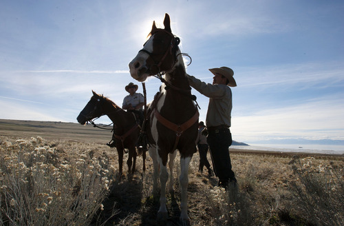 Steve Griffin  |  The Salt Lake Tribune
Jeremy Shaw, manager of Antelope Island State Park, saddles up for a ride with his rangers on the island Monday, November 19, 2012. Shaw's law enforcement rangers are patroling remote parts of the island on horseback. "This is a good fit for the island," Shaw says. "It is kind of what visitors to the island expect to see anyway."