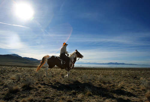 Steve Griffin  |  The Salt Lake Tribune
Ranger John Sullivan heads out for a ride on Antelope Island State Park on Monday November 19, 2012. "There is something pretty cool about being a ranger in the backcountry on horseback. I'm really excited about the whole thing," says Sullivan, who lives on the island.