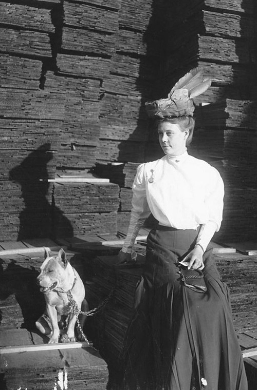 (Photo Courtesy Utah State Historical Society)

Mrs. Edward Merrill and her dog, posing for a photograph on a pile of lumber at the Morrison, Merrill and Company lumber yards.