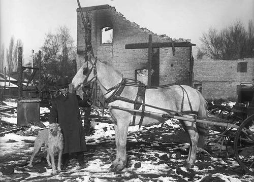 (Photo Courtesy Utah State Historical Society)

A man, his horse and dog that survived the Redman Van and Storage Company fire in 1907.
