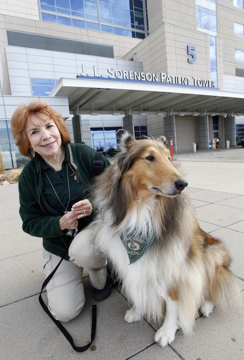 Al Hartmann  |  The Salt Lake Tribune
Volunteer Lesly Williams with her 10-year-old collie "Callum" outside Intermountain Heath Care hospital in Murray.  He is a therapy dog that works with children.