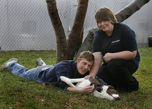 Scott Sommerdorf  |  The Salt Lake Tribune              
Andy Finnegan and Chelsea Phillips play with "Shiloh" at the Salt Lake County Animal Services, Thursday, November 29, 2012. They volunteer at the center almost every day between going to school and working.