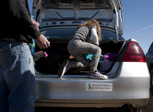 Steve Griffin |  The Salt Lake Tribune
LuLu Badger looks through the trunk of her car for her blue tutu as her family reunites with Ashley Maynard's family at a corn maze in  Bluebell, Utah Saturday October 27, 2012. Maynard, 12, died in 2010. Her liver saved LuLu's life.