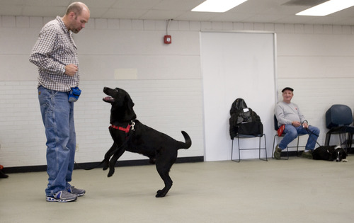 Kim Raff  |  The Salt Lake Tribune
Canines With A Cause instructor Shaun Woodard works with Grizz during a class demonstration at Northwest Recreation Center in Salt Lake City on December 21, 2012. Canines With A Cause is a non-profit that trains veterans and their dogs.