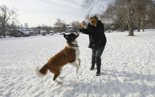 Rick Egan  | The Salt Lake Tribune 

Magda Allbright plays with her dog Bubba, at Lindsey Gardens dog park in the Avenues, Wednesday, January 2, 2013. The Greater Avenue Community Council is considering a petition that would expand the off-leash area of Lindsey Gardens.