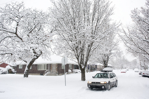 Jeremy Harmon  |  The Salt Lake Tribune

A thick layer of new snow covers the Liberty Wells neighborhood in Salt Lake City, Friday, January 11, 2013.