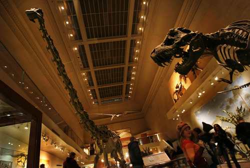 Scott Sommerdorf   |  The Salt Lake Tribune
The huge skeleton of the long-necked dinosaur Diplodocus - at left - was found in Utah in 1923 and is now displayed in the Museum of Natural History in the Smithsonian. It's one of a handful of things in a tour of D.C. for travelers from Utah, Friday, January 4, 2013.