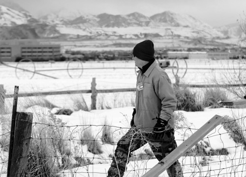 Al Hartmann  |  The Salt Lake Tribune
Volunteer Jason Risher searches along a canal in a field near 12800 South 4400 West for missing Herriman teen Brooklyn Gittins.  Hundreds of volunteers searched the Herriman area Thursday as a winter storm came into the area.