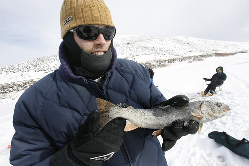 Scott Sommerdorf   |  The Salt Lake Tribune
Jake Rogers, of Provo, shows off his 14-inch cutthroat trout he caught while competing in the Utah State Parks Trifishalon ice fishing tournament at Scofield Reservoir, Saturday, December 29, 2012.