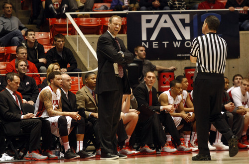 Ashley Detrick  |  The Salt Lake Tribune
Utah head coach Larry Krystkowiak argues with a referee during the game against Stanford at Utah Sunday January 27, 2013. Utes were trailing the Cardinals at half, 46-26.