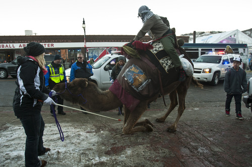 Chris Detrick  |  The Salt Lake Tribune
Park City Police give director Next Anyextee a citation for riding the camel 'Moses' along Main Street to promote his film 'Egypt Through The Glass Shop' during the 2013 Sundance Film Festival in Park City, Utah Friday January 18, 2013. 'Egypt Through The Glass Shop' will be shown for free at Brewvies on Monday at 7pm.