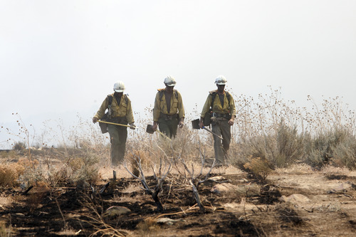 Christopher Reeves  |  Special to The Salt Lake Tribune
Members of the Cedar City Hot Shots firefighters crew fight the fire near Saratoga Springs on Friday, June 22, 2012.