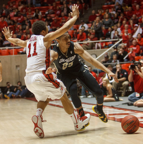 Trent Nelson  |  The Salt Lake Tribune
Colorado's Spencer Dinwiddie loses control of the ball in the final seconds, with Utah's Brandon Taylor defending, as Utah hosts Colorado, college basketball Saturday, February 2, 2013 in Salt Lake City.