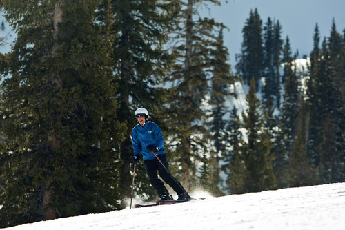 Chris Detrick  |  The Salt Lake Tribune
Utah Senate President Wayne Niederhauser skis down Gad Valley at Snowbird Saturday February 2, 2013.