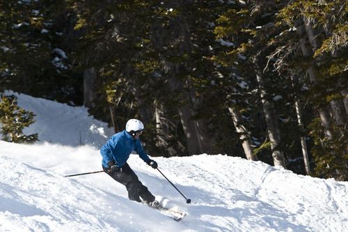Chris Detrick  |  The Salt Lake Tribune
Utah Senate President Wayne Niederhauser skis down Gad Valley at Snowbird Saturday February 2, 2013.
