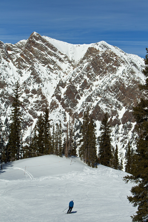 Chris Detrick  |  The Salt Lake Tribune
Utah Senate President Wayne Niederhauser skis down Gad Valley at Snowbird on Saturday, Feb. 2, 2013.
