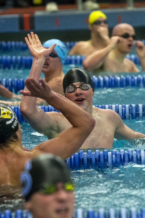 Chris Detrick  |  The Salt Lake Tribune
Wasatch seniors Hunter Tolbert and Sam England high five after competing in the 100 yard freestyle during the Utah High School State 3A Championships at BYU Saturday February 9, 2013.