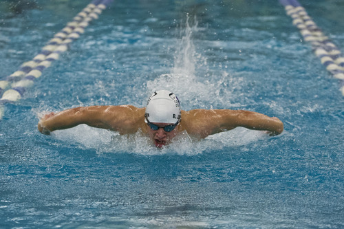 Chris Detrick  |  The Salt Lake Tribune
Brandon Johnson, of Tooele High School, competes in the 100 yard butterfly during the Utah High School State 3A Championships at BYU Saturday February 9, 2013.