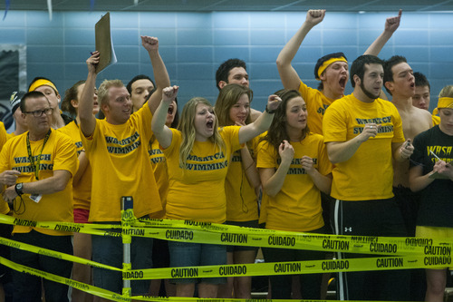 Chris Detrick  |  The Salt Lake Tribune
Wasatch students cheer during the 100 yard freestyle during the Utah High School State 3A Championships at BYU Saturday February 9, 2013.