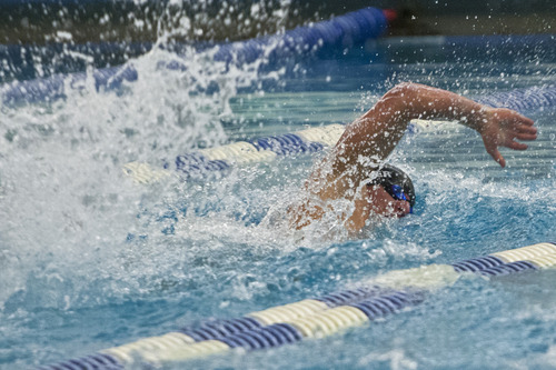 Chris Detrick  |  The Salt Lake Tribune
Phillip Hojnacki, of Juan Diego High, competes in the 100 yard freestyle during the Utah High School State 3A Championships at BYU Saturday February 9, 2013.