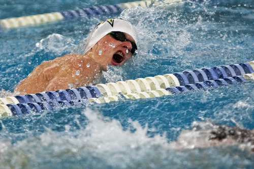 Chris Detrick  |  The Salt Lake Tribune
Zach Rowe, of Desert Hills High, competes in the 100 yard freestyle during the Utah High School State 3A Championships at BYU Saturday February 9, 2013.