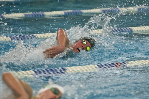 Chris Detrick  |  The Salt Lake Tribune
McKenzie Barber, of Snow Canyon High, competes in the 100 yard freestyle during the Utah High School State 3A Championships at BYU Saturday February 9, 2013.