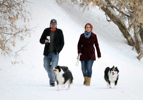 Rick Egan  | The Salt Lake Tribune 

Rob Roundy walks the Dugway trail at Parley's Nature Park with his wife, Lindsi McCoard Roundy and their dogs Trixy, Ajax, and Xoe,  Wednesday, February 13, 2013. Lindsi is a third year medical student at the University of Utah, recently diagnosed with Multiple Sclerosis.