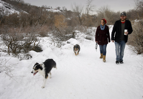 Rick Egan  | The Salt Lake Tribune 

Lindsi McCoard Roundy walks the Dugway trail at Parley's Nature Park with her husband, Rob Roundy, and their dogs Trixy, Ajax, and Xoe, Wednesday, February 13, 2013. Lindsi is a third year medical student at the University of Utah, recently diagnosed with Multiple Sclerosis.