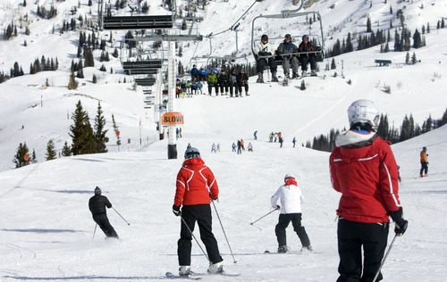 Kim Raff  |  The Salt Lake Tribune
People ski down the Little Dipper trail as people ride the Sugarloaf lift at Alta Ski Area on Presidents Day, Monday, Feb. 18, 2013.