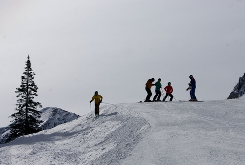 Kim Raff  |  The Salt Lake Tribune
People ski on the Home Run trail at Alta Ski Area on Presidents Day, Monday, Feb. 18, 2013.