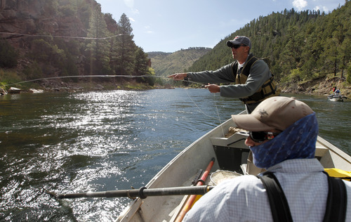 Al Hartmann  |  The Salt Lake Tribune

Flaming Gorge Resort fishing guide Brian Hoskisson watches as Dutch John resident Ryan Mosley casts to a rising fish on the Green River below Flaming Gorge Dam.