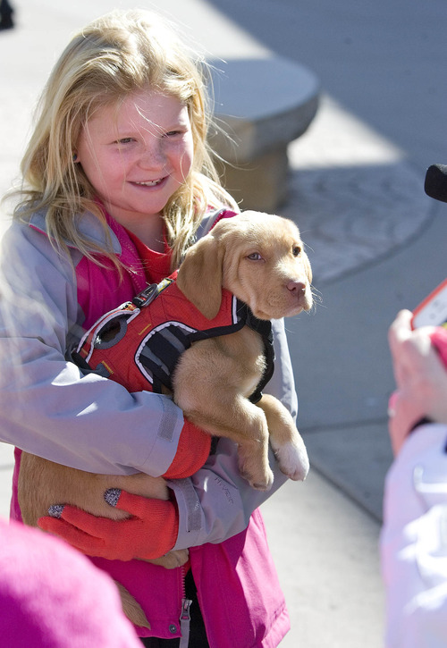 Paul Fraughton  |   Salt Lake Tribune
Jessica Anponacci, age8, has her picture taken holding "Lily", Park City Ski Resort's  new avalanche dog in training. Lily was on the resort's plaza where she was an instant hit with skiers who petted her and posed with her for photos.
 Tuesday, February 19, 2013