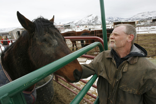 Francisco Kjolseth  |  The Salt Lake Tribune
James Munden pets Scooby who was brought in to his wife's horse rescue in Herriman with a crushed eye that needed to be removed. James helps his wife Kendra rehabilitate starved, abused and neglected horses, who then go up for adoption. In four years Kendra has placed over 100 horses after the long and expensive road of nursing the horses back to health.