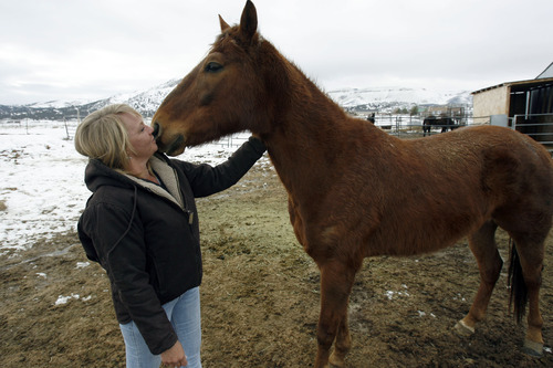 Francisco Kjolseth  |  The Salt Lake Tribune
Kendra Munden gives and receives some love from Sequoia, a Mexican dancing horse that was broken in the wrong way leaving her scarred in multiple places. Munden helps run a rescue for horses in Herriman where she rehabilitates starved, abused and neglected horses, who then go up for adoption.