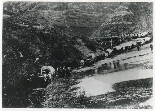 Tribune file photo

A wagon train moves through Echo Canyon, date unknown.