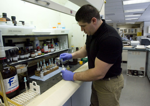 Kim Raff  |  The Salt Lake Tribune
Mike Saunders, a forensic scientist, tests drugs seized at a crime scene at the crime lab at the Utah Bureau of Forensic Services in West Valley City on February 11, 2013. The crime lab is slowly on the mend after years of losing staff to budget cuts and low wages.