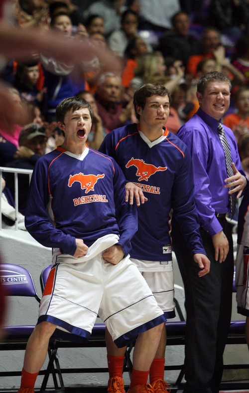 Kim Raff  |  The Salt Lake Tribune
Players on the Mountain Crest bench cheer as their team takes the lead over Logan during the 4A state semifinal game at the Dee Event Center in Ogden on March 1, 2013. Mountain Crest went on to win 54-51.