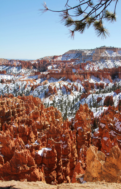Francisco Kjolseth  |  The Salt Lake Tribune
Stunning views welcome those willing to brave the higher elevations of Bryce Canyon during the annual Bryce Canyon Winter Festival being held Feb. 16-18.