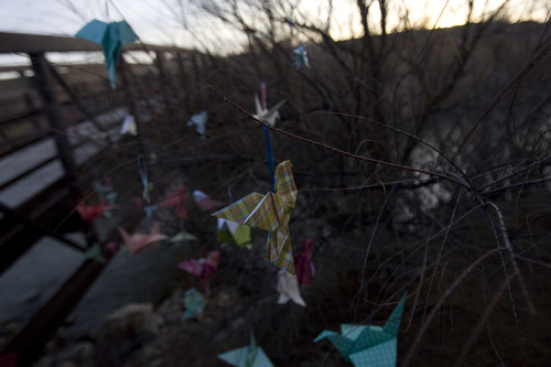 Kim Raff  |  The Salt Lake Tribune
Paper cranes hang from a tree during a vigil for 15-year old Anne Kasprzak at the bridge near where she was found dead one year ago. Kasprzak's parents are pleading for anyone with information about the murder to come forward and are offering a reward.
