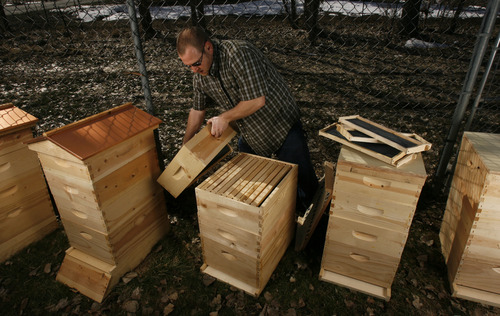Francisco Kjolseth  |  The Salt Lake Tribune
Kenny Olsen of West Haven Utah has been a network security IT guy for some time before turning to family farming. With the help of Kickstarter he has raised money for a new tiller and for six new beehives in hopes of expanding on the family side business.