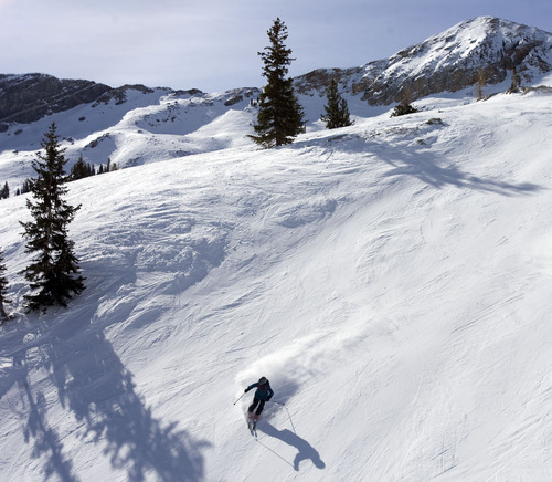 Tribune file photo by Kim Raff
  A skier races down a trail at Alta Ski Area, which will be joined by Snowbird in an effort by the West's biggest independent resorts to expose their slopes to each other's skiers and snowboarders.