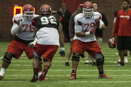 Chris Detrick  |  The Salt Lake Tribune
Utah Utes offensive linesman Percy Taumoelau (79) during a practice last year. Utah co-offensive coordinator Dennis Erickson is optimistic the offensive will be a strength this year.