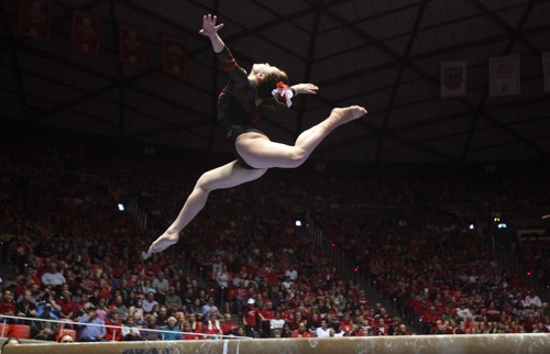 Kim Raff  |  The Salt Lake Tribune
Utah gymnast Becky Tutka performs her routine on the beam during a meet against Florida at the Huntsman Center in Salt Lake City on March 16, 2013. Utah went on to beat Florida in the meet.