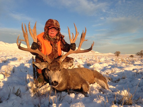 Record $310,000 paid to hunt Utah mule deer on Antelope Island - The ...