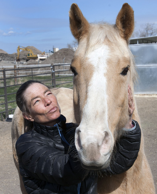 Steve Griffin | The Salt Lake Tribune


Catherine Kirby, with eight-year-old Cash, at Noble Horse Sanctuary, in Salt Lake City, Utah Monday March 18, 2013.