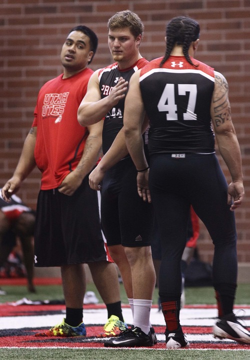 Leah Hogsten  |  The Salt Lake Tribune
l-r Star Lotulelei and Dave Kruger encourage David Rolf after his run. University of Utah football players go all out in front of NFL scouts, Wednesday, March 20, 2013 during Utah's Pro Day.